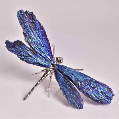 TITANIUM AURA KYANITE DRAGONFLY P1036