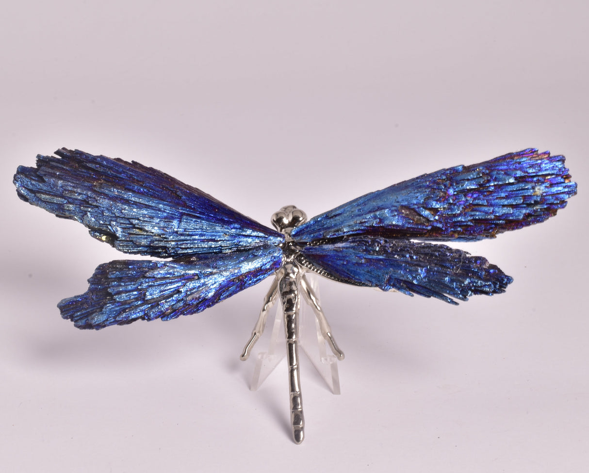 TITANIUM AURA KYANITE DRAGONFLY P551