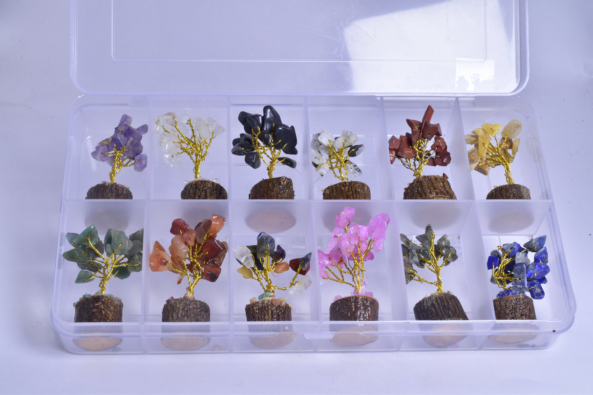 ASSORTED MINI CRYSTAL 12 PIECE GEM TREE BOX TR1