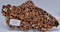 BAUXITE, Aluminium Hydroxide, Polished Slice, Kalgoorlie WA S290