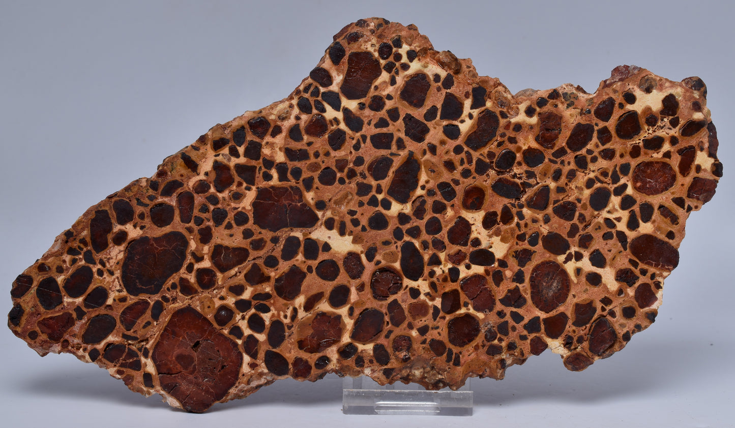 BAUXITE, Aluminium Hydroxide, Polished Slice, Kalgoorlie WA S290