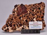 BAUXITE, Aluminium Hydroxide, Polished Slice, Kalgoorlie WA S293
