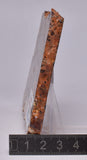 BAUXITE, Aluminium Hydroxide, Polished Slice, Kalgoorlie WA S293
