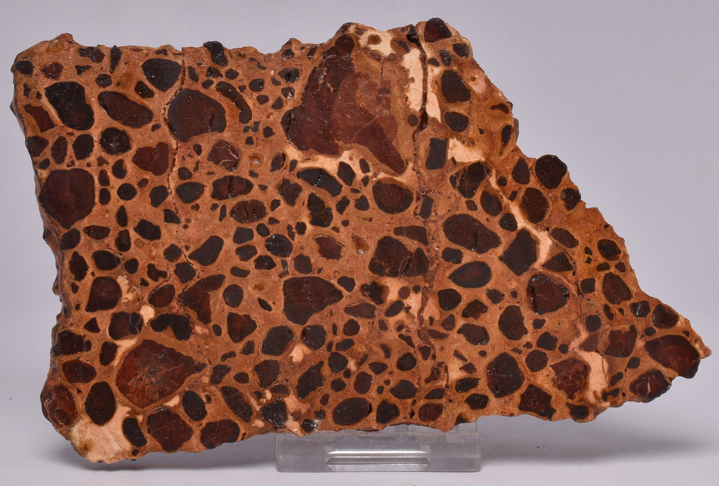 BAUXITE, Aluminium Hydroxide, Polished Slice, Kalgoorlie WA S293