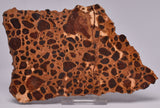 BAUXITE, Aluminium Hydroxide, Polished Slice, Kalgoorlie WA S293
