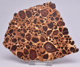 BAUXITE, Aluminium Hydroxide, Polished Slice, Kalgoorlie WA S296