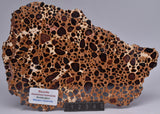 BAUXITE, Aluminium Hydroxide, Polished Slice, Kalgoorlie WA S194