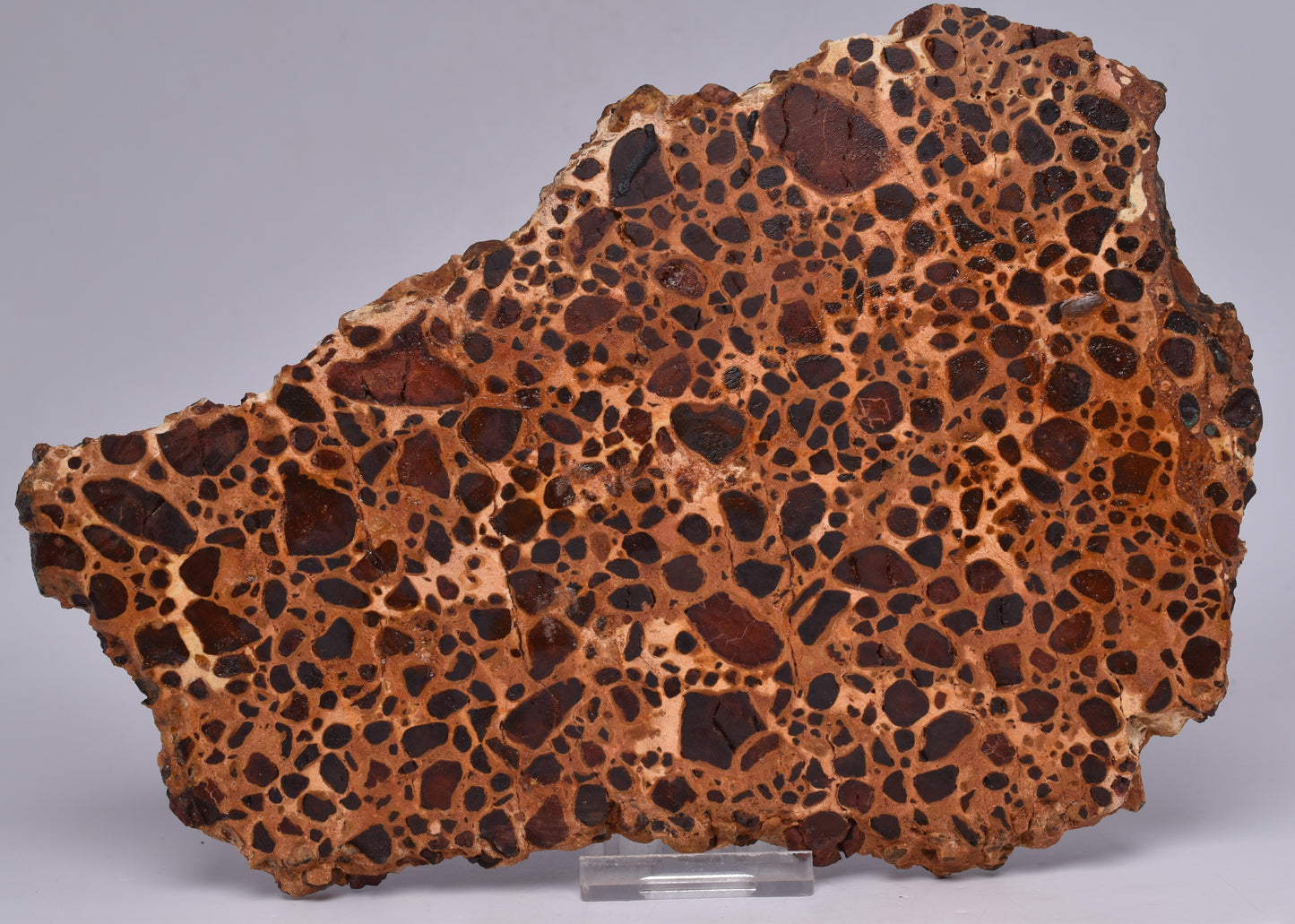 BAUXITE, Aluminium Hydroxide, Polished Slice, Kalgoorlie WA S194