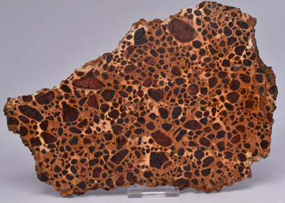 BAUXITE, Aluminium Hydroxide, Polished Slice, Kalgoorlie WA S194