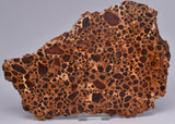 BAUXITE, Aluminium Hydroxide, Polished Slice, Kalgoorlie WA S194