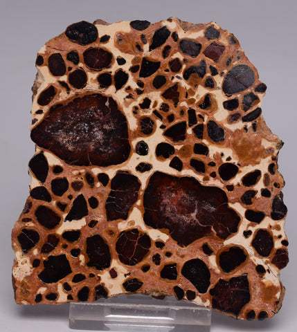 BAUXITE, Aluminium Hydroxide, Polished Slice, Kalgoorlie WA S1296