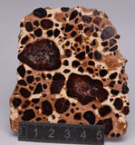 BAUXITE, Aluminium Hydroxide, Polished Slice, Kalgoorlie WA S1296