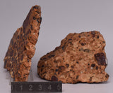 BAUXITE, Aluminium Hydroxide, Polished and rough, Australia S1299