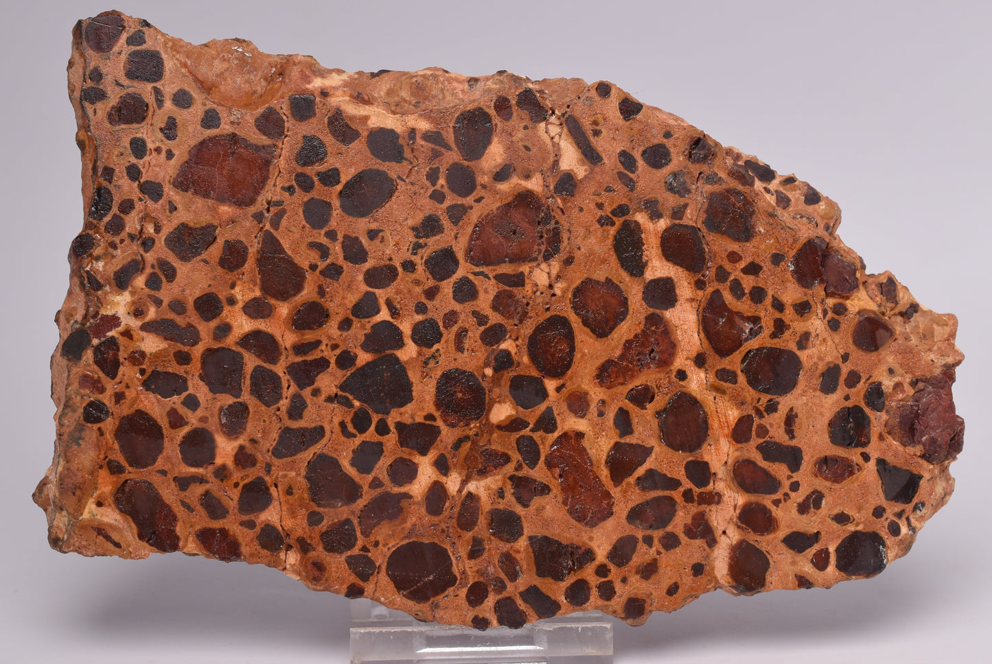BAUXITE, Aluminium Hydroxide, Polished Slice, Australia S438