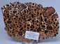 BAUXITE, Aluminium Hydroxide, Polished Slice, Australia S450