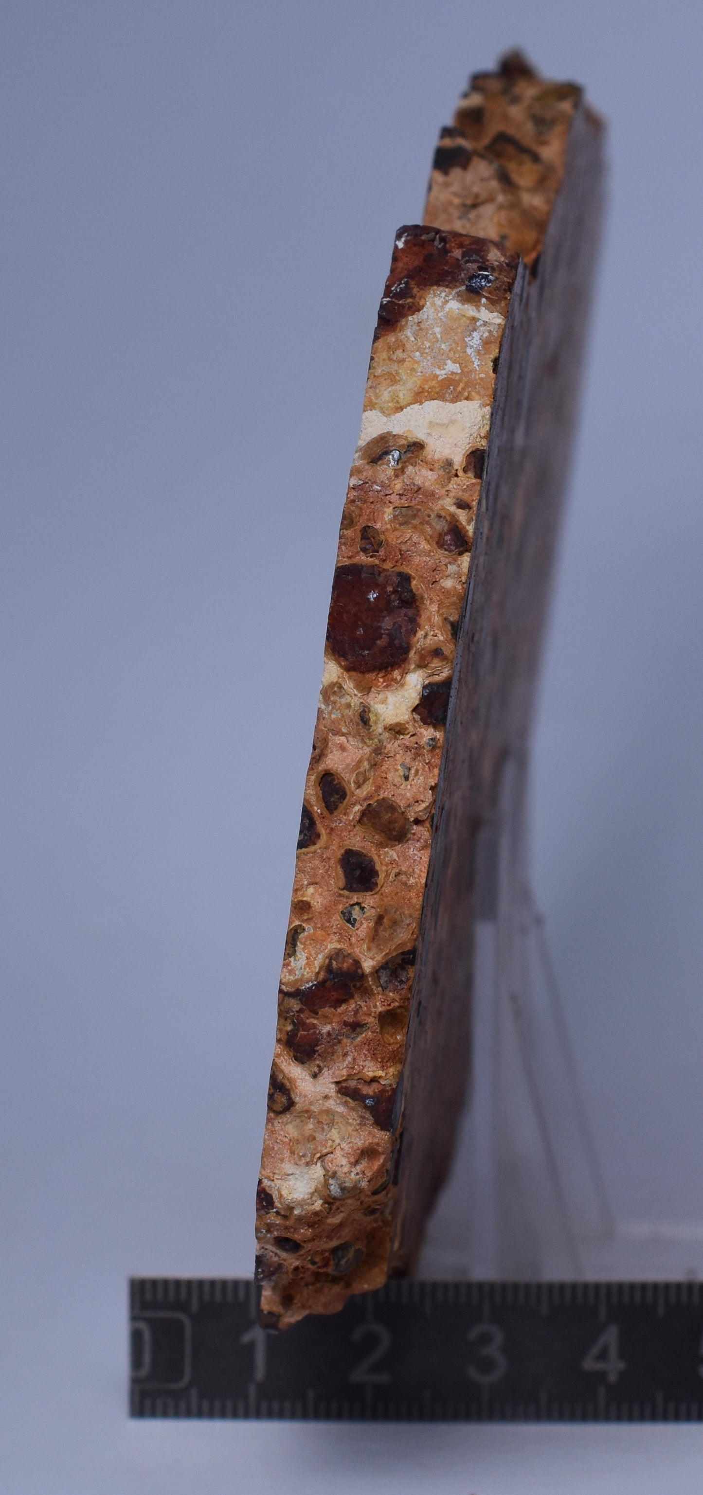 BAUXITE, Aluminium Hydroxide, Polished Slice, Australia S450