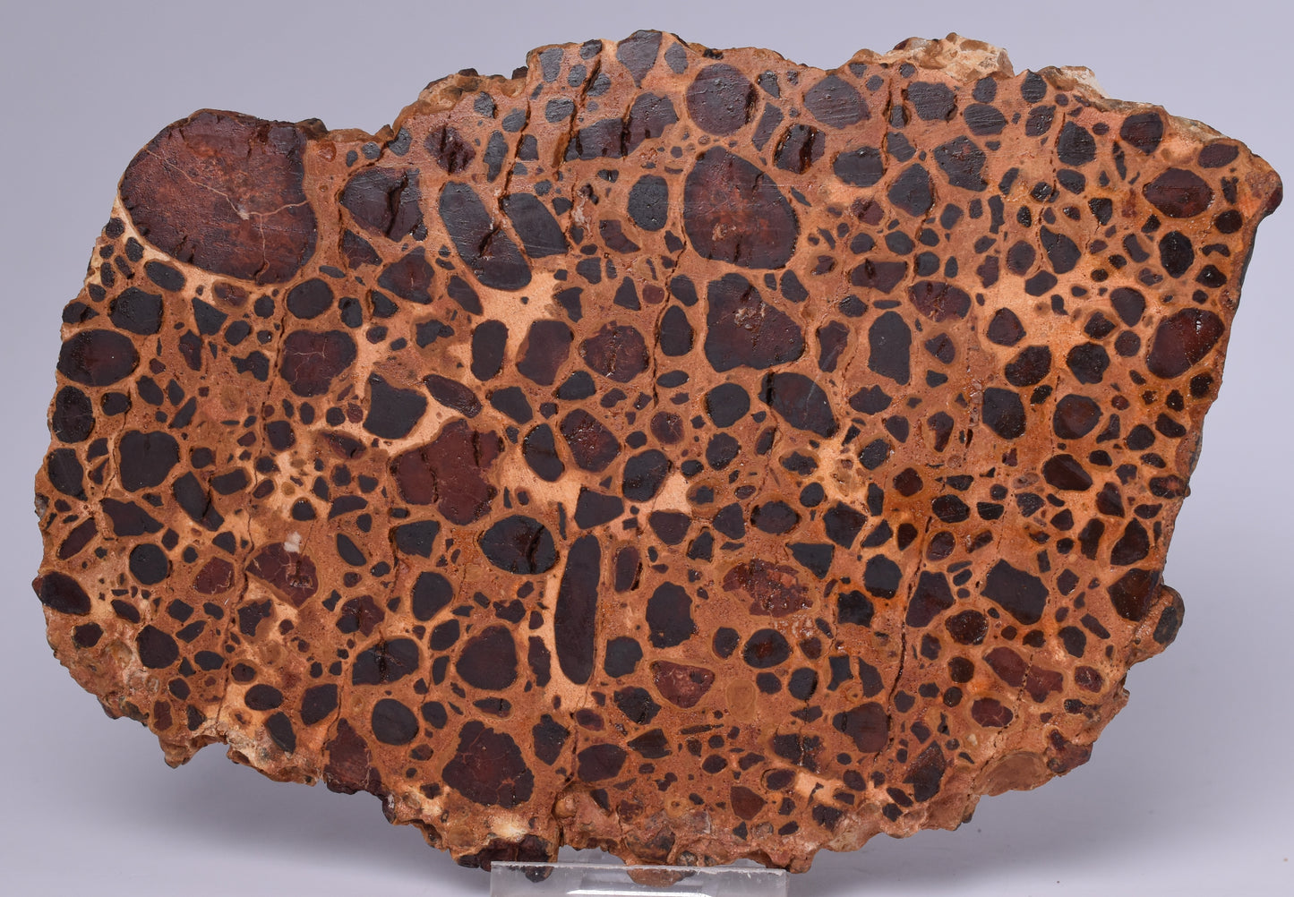 BAUXITE, Aluminium Hydroxide, Polished Slice, Australia S450