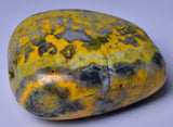 BUMBLEBEE MICROBIALITE JASPER POLISHED FREEFORM, INDONESIA P160