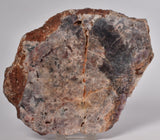 AMETHYST SLICE, from WAVE HILL, AUSTRALIA S560