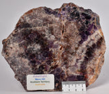 AMETHYST SLICE, from WAVE HILL, AUSTRALIA S561