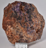 AMETHYST SLICE, from WAVE HILL, AUSTRALIA S561