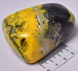 BUMBLEBEE MICROBIALITE JASPER POLISHED FREEFORM, INDONESIA P172