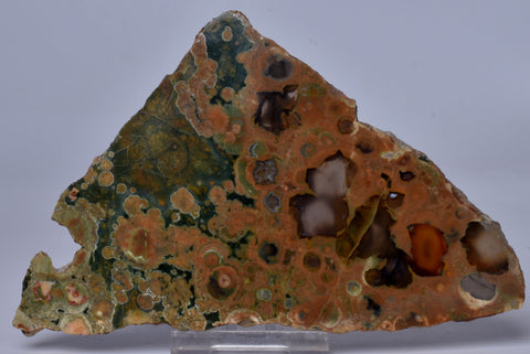 RHYOLITE RAINFOREST JASPER, Polished Slice, Mt Hay QLD Australia S336