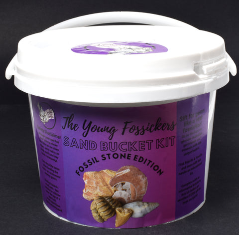 THE YOUNG FOSSIKERS SAND BUCKET KIT FOSSIL STONE
