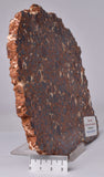 BAUXITE, Aluminium Hydroxide, Polished Slice, Australia S347