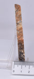 DINOSAUR POO, COPROLITE, SLICED AND POLISHED S354