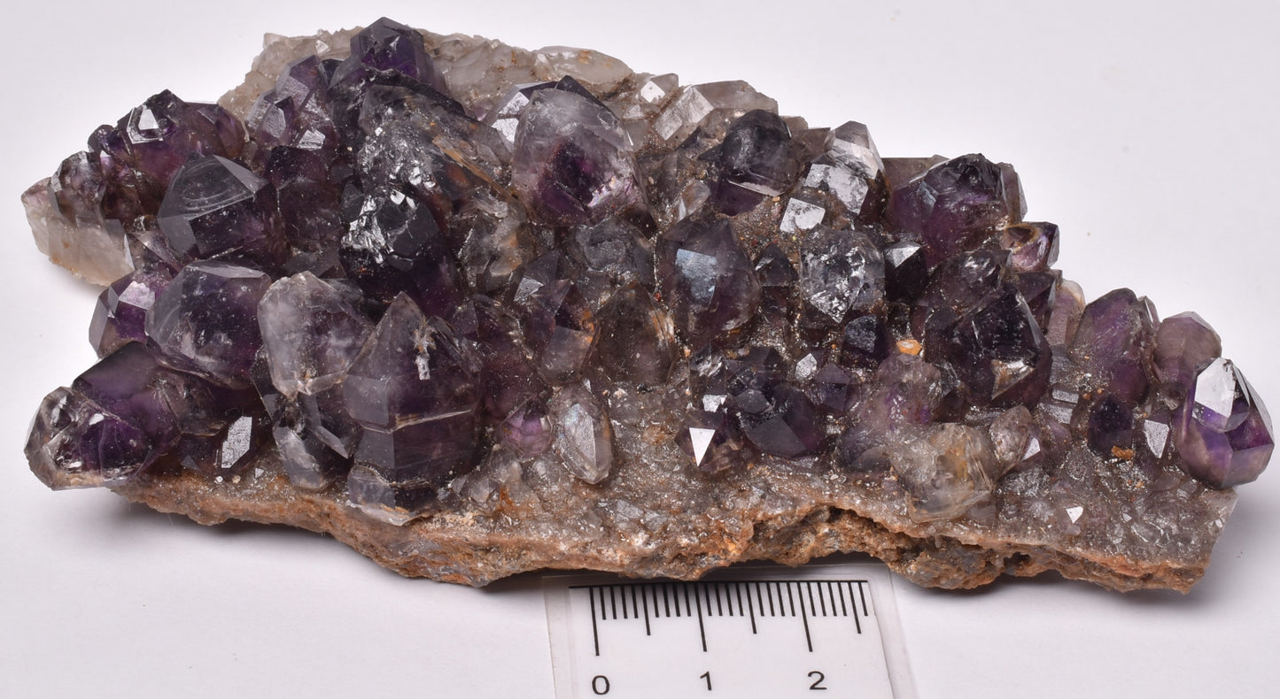 AMETHYST SCEPTER CLUSTER AUSTRALIA P1106