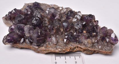 AMETHYST SCEPTER CLUSTER AUSTRALIA P1106