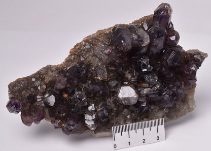 AMETHYST SCEPTER CLUSTER AUSTRALIA P1106