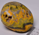 BUMBLEBEE JASPER POLISHED FREEFORM, INDONESIA P781