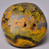 BUMBLEBEE JASPER POLISHED FREEFORM, INDONESIA P781