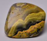 BUMBLEBEE MICROBIALITE JASPER POLISHED FREEFORM, INDONESIA P1007