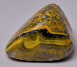 BUMBLEBEE MICROBIALITE JASPER POLISHED FREEFORM, INDONESIA P1007