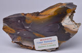 MOOKAITE Polished Slice, FOSSIL RADIOLARIAN Western Australia S318