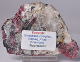 EUDIALYTE SLICE, GREENLAND, FLUORESCENT S472
