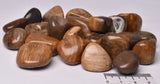 100 grams OF FOSSIL WOOD POLISHED TUMBLES P478