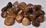 100 grams OF FOSSIL WOOD POLISHED TUMBLES P478