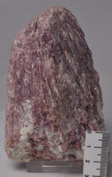 PINK TOURMALINE NATURAL FREEFORM P488