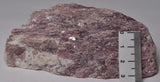 PINK TOURMALINE NATURAL FREEFORM P488