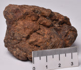 WOLF CREEK SHALE BALL METEORITE MT79