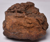 WOLF CREEK SHALE BALL METEORITE MT79
