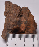 WOLF CREEK SHALE BALL METEORITE MT79