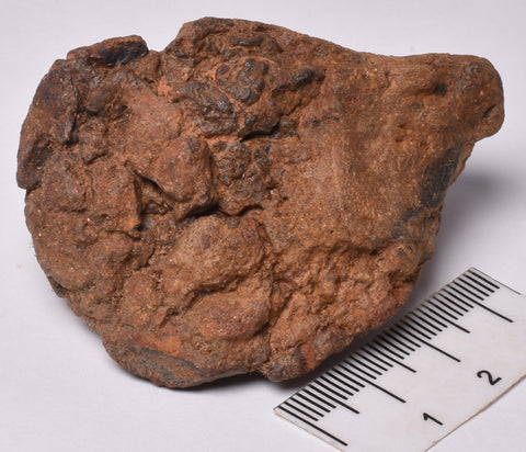 WOLF CREEK SHALE BALL METEORITE MT81