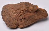 WOLF CREEK SHALE BALL METEORITE MT81