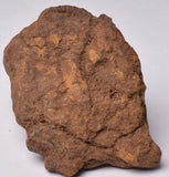 WOLF CREEK SHALE BALL METEORITE MT81