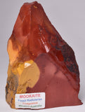 MOOKAITE Polished Slice, FOSSIL RADIOLARIAN Western Australia R05